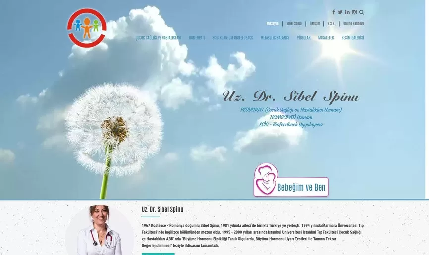 sibelspinu.com
